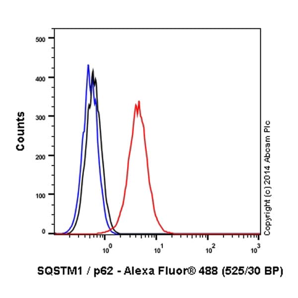 Alexa Fluor® 488 Anti-SQSTM1 / p62 antibody [EPR4844] - Autophagosome Marker(AB185015)