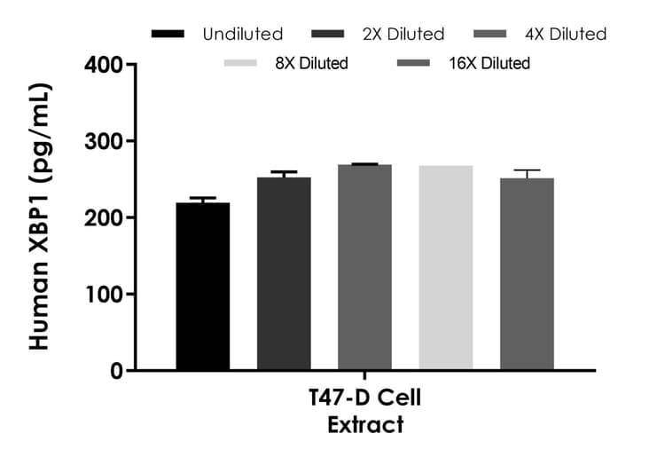 Human XBP1 ELISA Kit(AB289704)