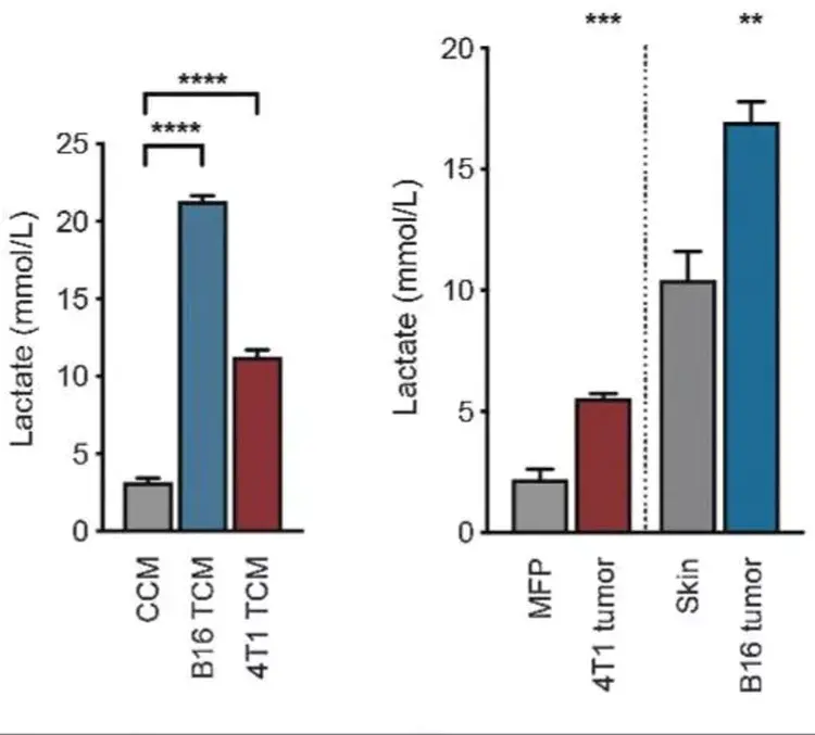 Total Antioxidant Capacity Assay Kit(ab65329)