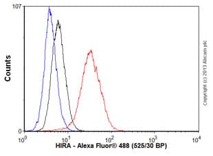 Anti-HIRA/HIR antibody [EPR7416] - BSA and Azide free(AB232477)