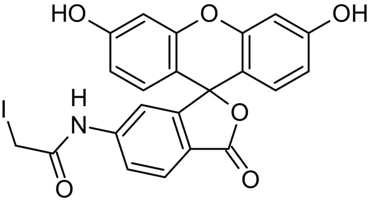 6-IAF (6-Iodoacetamidofluorescein), Thiol-reactive fluorescent label(AB145464)