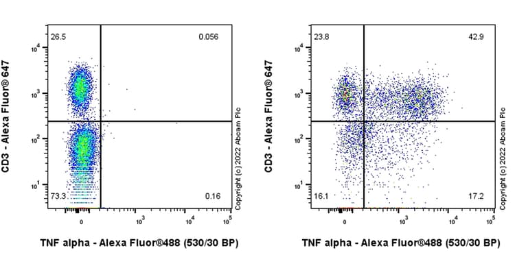 Anti-TNF alpha antibody [RM1005](AB307164)