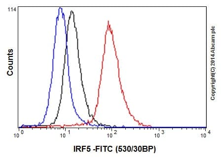 Anti-IRF5 antibody [EPR17067](AB181553)