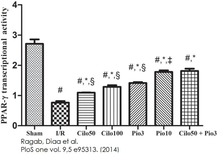 Nuclear Extraction Kit(AB113474)