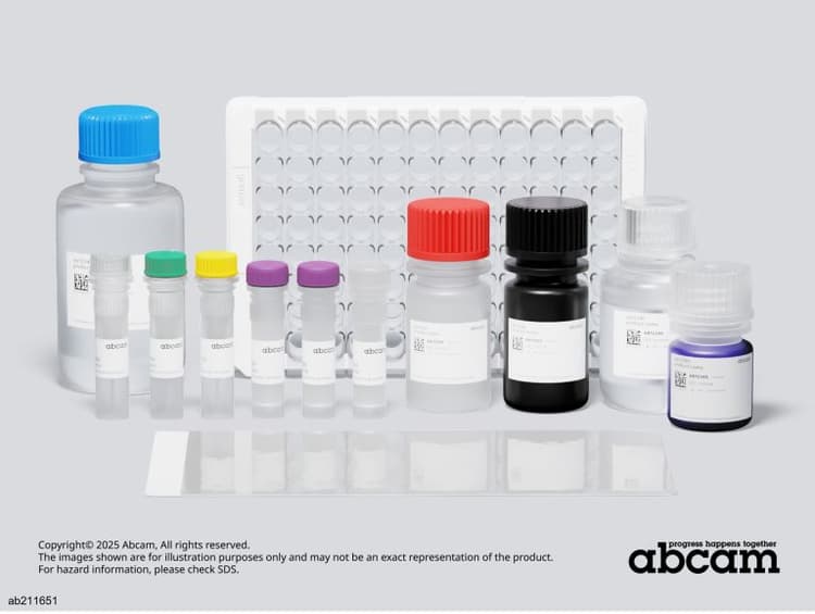 Human IGF1 ELISA Kit(AB211651)