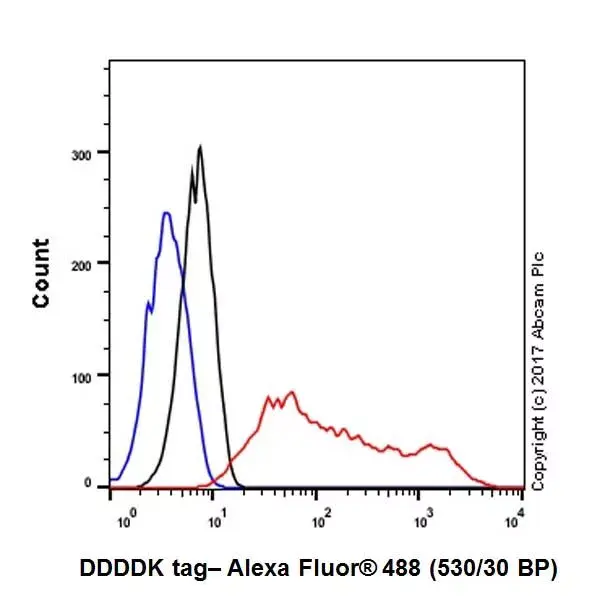 Anti-DDDDK tag (Binds to FLAG® tag sequence) antibody [EPR20018-251](AB205606)