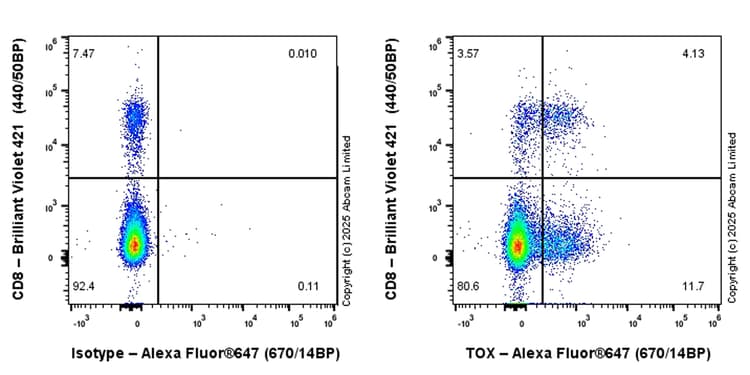 Anti-TOX antibody [EPR28108-10](ab322259)
