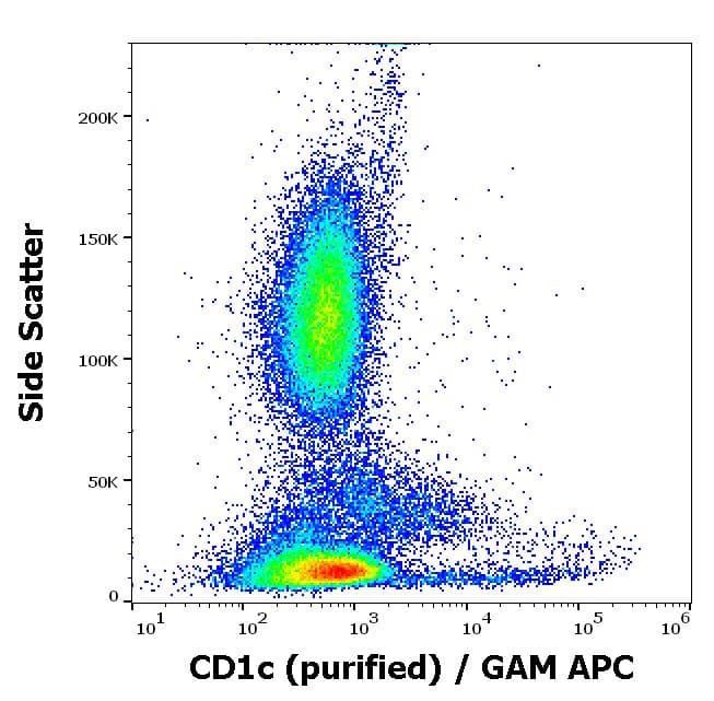 Anti-CD1c antibody [L161](AB190305)