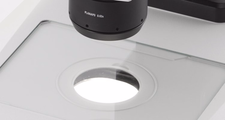 Powerful Illumination 01 Kid21768710