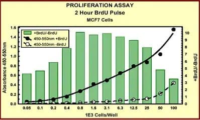 BrdU Cell Proliferation ELISA Kit (colorimetric)(AB126556)