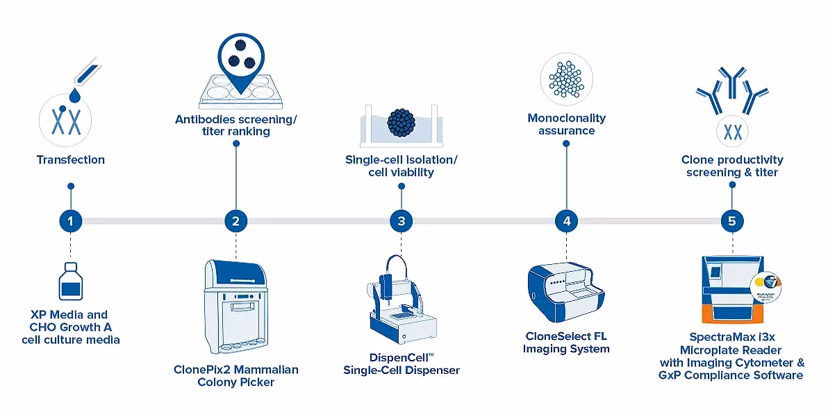 Single Cell Cloning 1