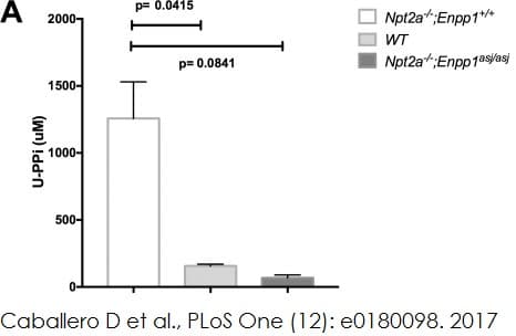 Pyrophosphate Assay Kit (Fluorometric)(AB112155)