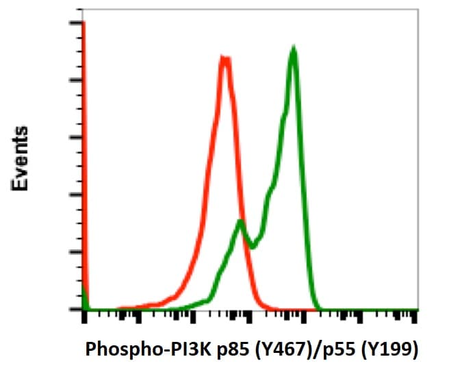 FITC Anti-PI 3 Kinase p85 alpha (phospho Y467) + PI3 Kinase p55 (phospho Y199) antibody [PI3KY458-1A11](AB278692)