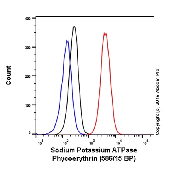 Anti-Sodium Potassium ATPase antibody [EP1845Y] - BSA and Azide free(AB167390)