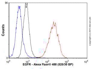 Anti-EGFR antibody [EPR39Y] - BSA and Azide free(AB239877)