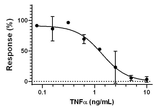 Recombinant human TNF alpha protein (Active)(AB259410)
