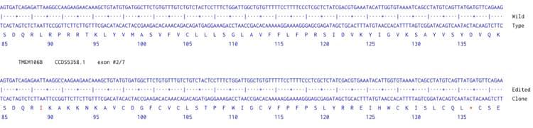 Human Tmem106b Knockout A549 Cell Line Ab273711  Next Generation Sequencing Img428809
