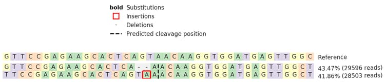 Human Magea4 Knockout A 431 Cell Line Ab273857  Next Generation Sequencing Img176715