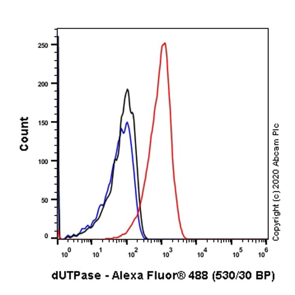Anti-dUTPase antibody [EPR9608(B)] - BSA and Azide free(AB232044)