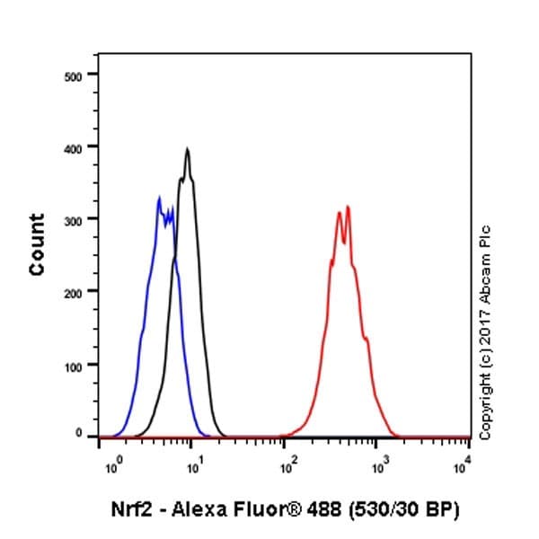 Anti-Nrf2 antibody [EP1808Y](AB62352)