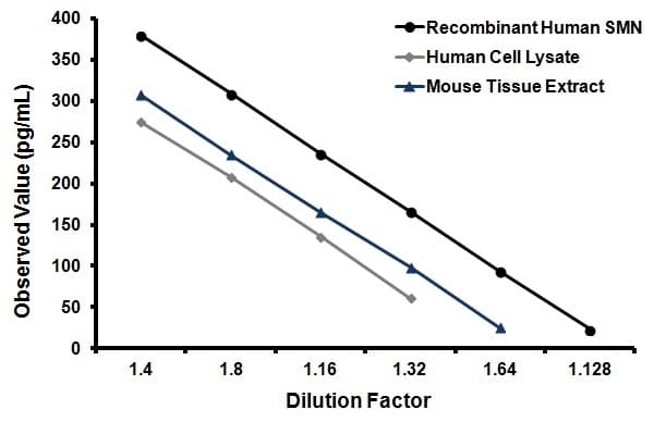 SMN ELISA kit(AB136947)