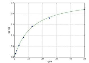 Ovalbumin (OVA) ELISA Kit(AB289830)