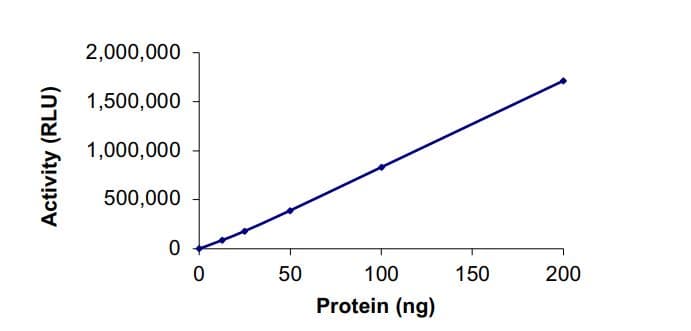 Recombinant human PI 3 Kinase p85 alpha + PI 3 Kinase catalytic subunit alpha/PIK3CA protein(AB268853)