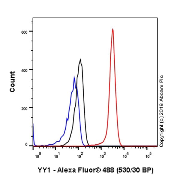 Anti-YY1 antibody [EPR4652] - BSA and Azide free(AB232573)