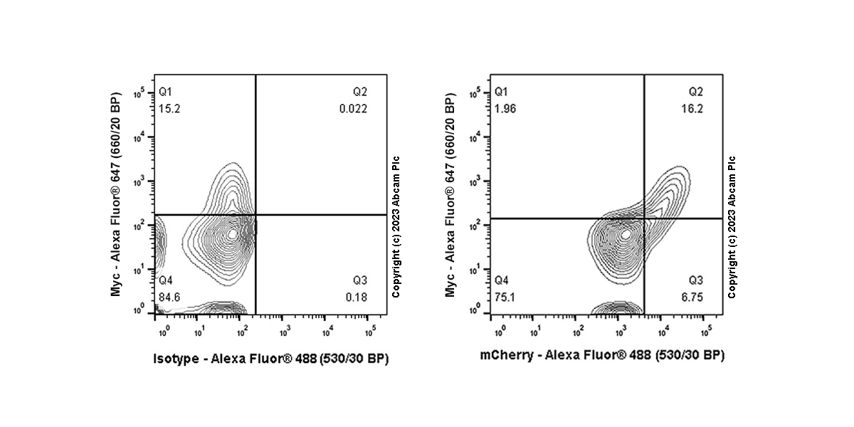 Anti-mCherry Antibody [EPR20579] ab232341 Recombinant | Danaher