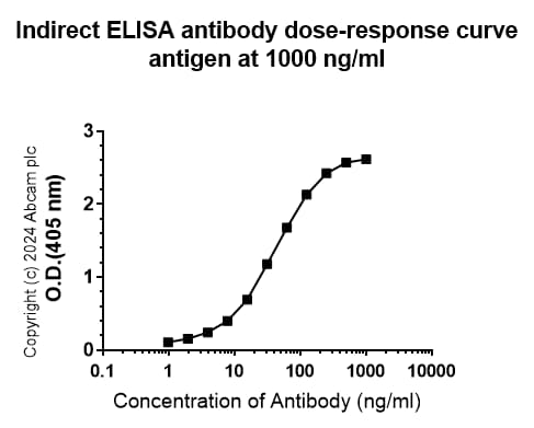 Anti-EBV Nuclear Antigen/EBNA1 antibody [EPR28706-78] - BSA and Azide free(AB316861)