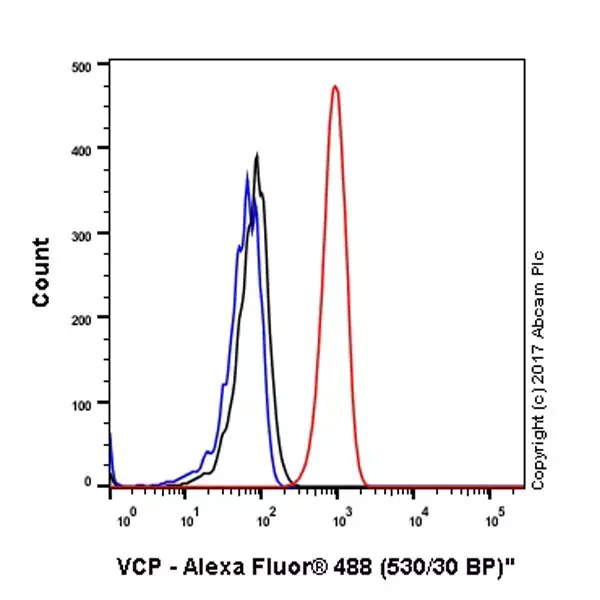 Anti-VCP antibody [EPR3307(2)](AB109240)