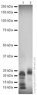 Anti-VEGFA antibody(AB46154)