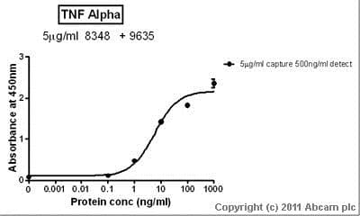 Recombinant human TNF alpha protein(AB9642)