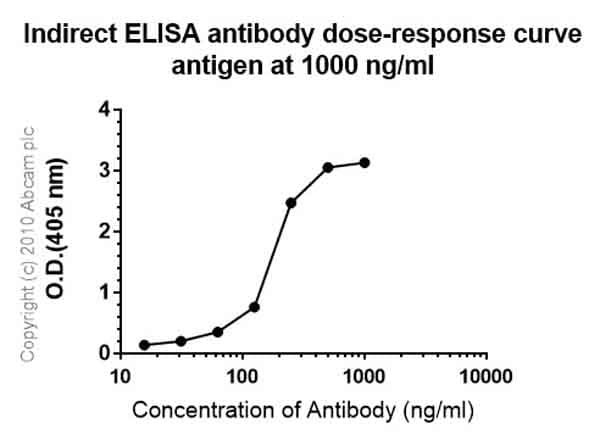 Anti-VIP antibody [EPR4203](AB124788)