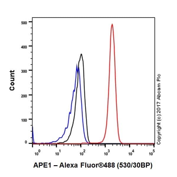 Anti-APE1 antibody [EPR18378-45] - ChIP Grade(AB189474)