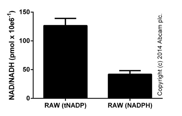 NADP/NADPH Assay Kit(AB65349)