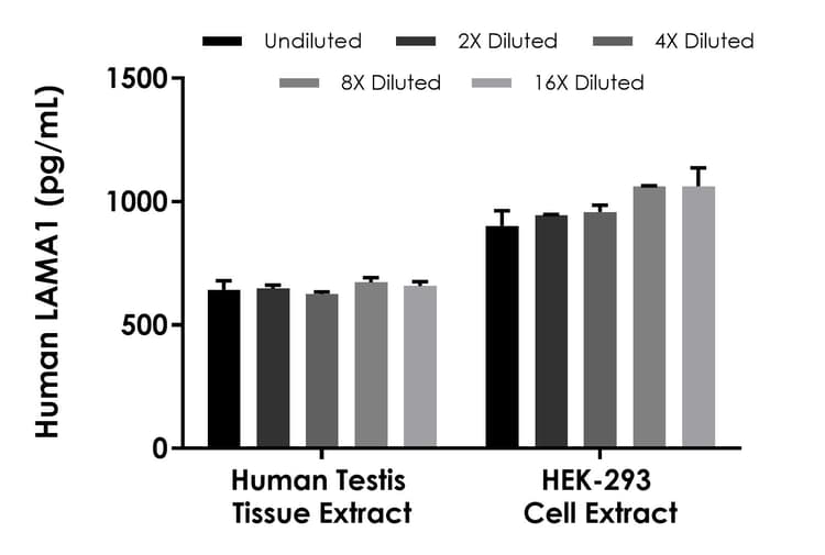 Human LAMA1 ELISA Kit(ab315073)