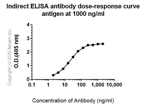 Anti-VEGF Receptor 2 antibody [EPR21884-236] - BSA and Azide free(AB234106)