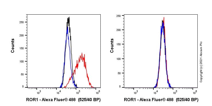 Alexa Fluor® 488 Anti-ROR1 antibody [EPR24451-141](AB281762)