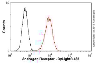 Anti-Androgen Receptor antibody [AR 441](AB9474)