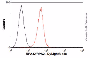 Rpa32 Rpa2 Antibody 9h8 Ab2175 Flow Cytometry Img88524