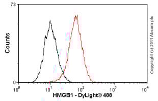 Anti-HMGB1 antibody [EPR3507](AB79823)