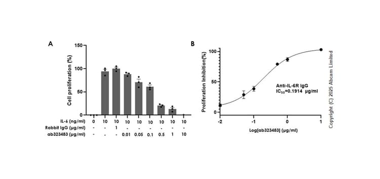 Rabbit IgG, monoclonal [EPR25A] - Isotype Control - BSA and Azide Free(AB210849)