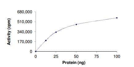 Recombinant human Met (c-Met) (mutated F1200I) protein (Active)(AB268766)