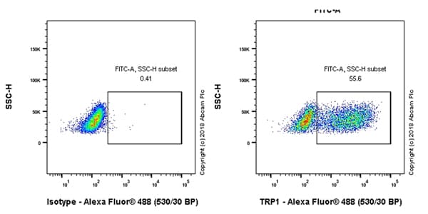 Anti-TRP1 antibody [EPR21956](AB235446)