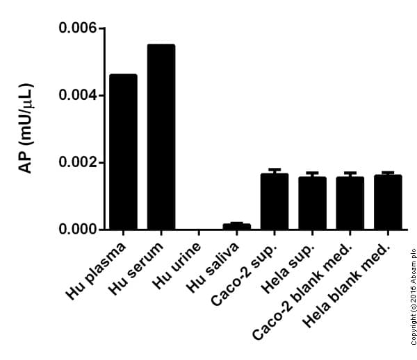 Alkaline Phosphatase Assay Kit (Fluorometric)(ab83371)
