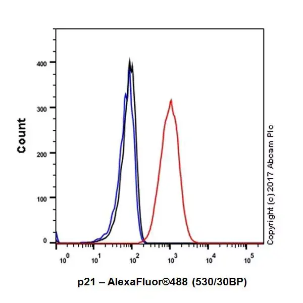 Anti-p21 antibody [EPR18021](AB188224)