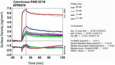 Cyp2c19 Antibody Epr6576 Ab137015  Oi Rd Scanning Img97931