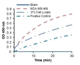 Glyceraldehyde 3 Phosphate Dehydrogenase Activity Assay Kit (Colorimetric)(AB204732)