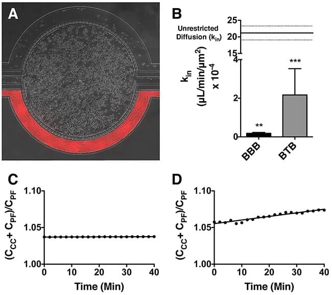 Rhodamine Conjugation Kit (Fast) - Lightning-Link®(AB188286)